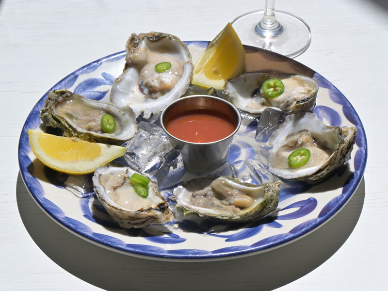Oysters
